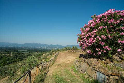 Kinderfreundliche Ferienanlage bei Florenz | Tritt-toskana.de