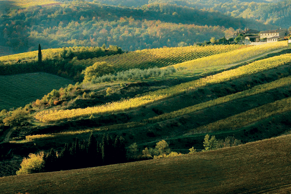 Chianti hügel - Toskana landschaft