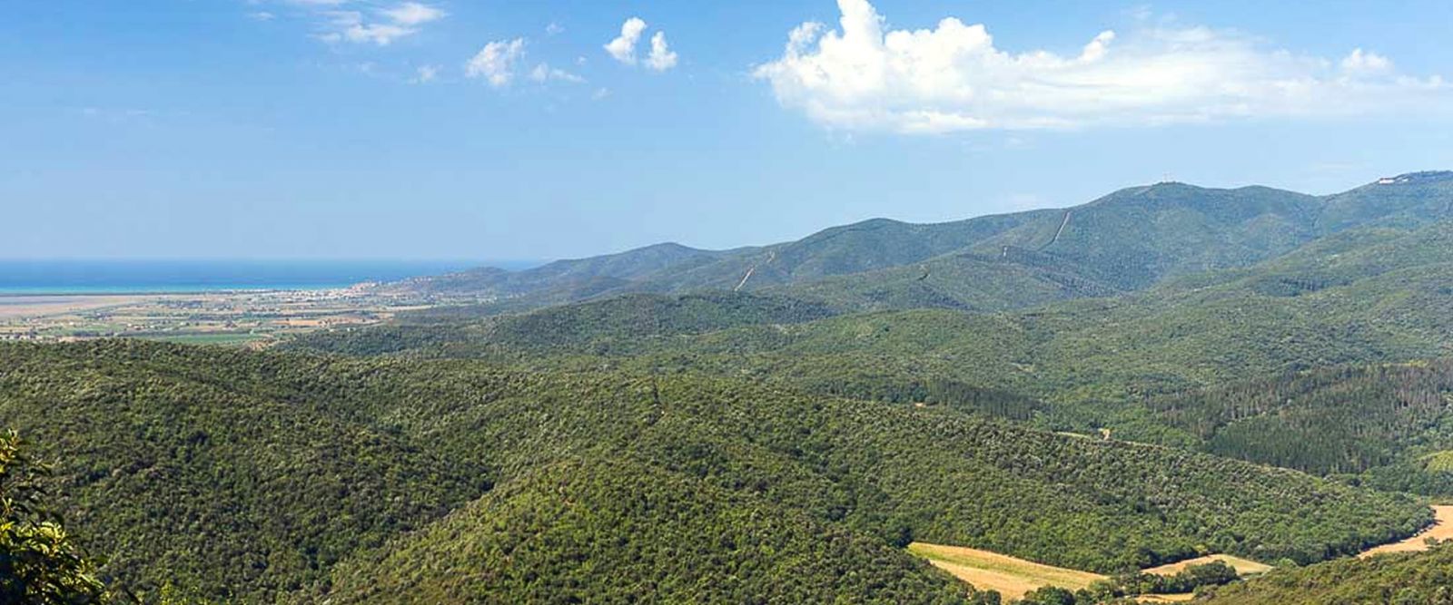 Macchia Mediterranea Hügel Naturschutzgebiet Montioni Toskana