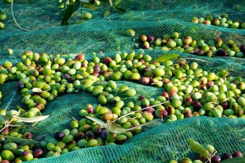 Agriturismo Malagronda in Umbrien, Tritt-Case in Italia