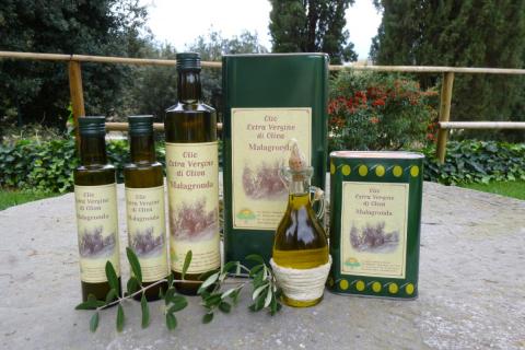 Agriturismo Malagronda in Umbrien, Tritt-Case in Italia