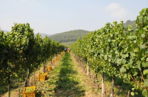 Agriturismo Villa Gradoni am Iseosee, Tritt Case in Italia