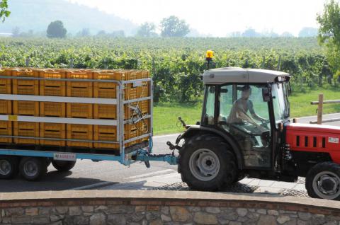 Agriturismo Villa Gradoni am Iseosee, Tritt Case in Italia