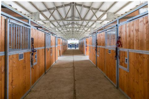 Agriturismo Poggiovalle - Borgo Granaio in Umbrien  | Tritt-Italien.de