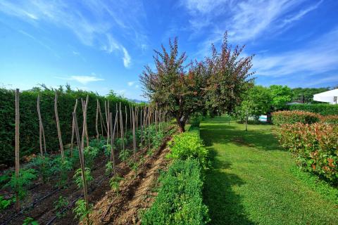 Ferienhaus Tiziano, Tritt-case in Italia