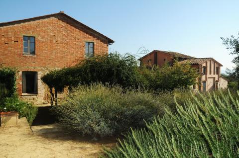 Agriturismo Castiglione del Lago mit Restaurant | Tritt