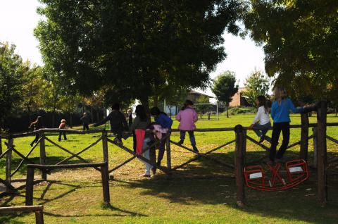 Agriturismo Castiglione del Lago mit Restaurant | Tritt