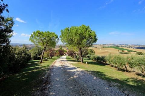 Freistehende Villa mit Pool in Le Marche. Tritt-Case in Italia