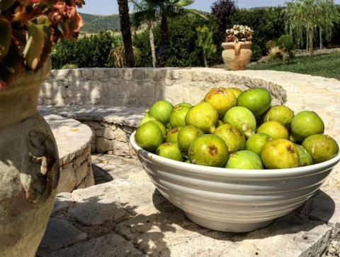 Agriturismo Arucimeli Resort auf Sizilien - Tritt Case in Italia