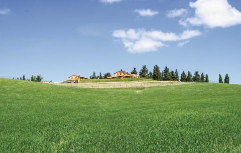 Borgo del Silenzio, 5 Ferienwohnungen in den Hügeln von Lajatico. Tritt-Toskana.de