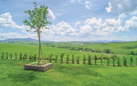 Borgo del Silenzio, 5 Ferienwohnungen in den Hügeln von Lajatico. Tritt-Toskana.de