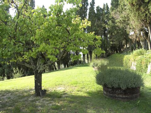 Historische Villa del Monte in gewaltiger Lage | Tritt-toskana.de