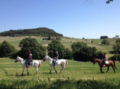 Grüne Ferienunterkünfte im wunderschönen Pomarance bei Pisa| Tritt-toskana.de
