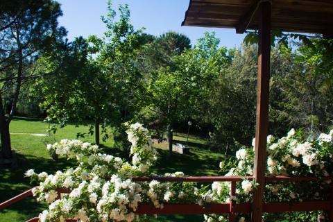 Grüne Ferienunterkünfte im wunderschönen Pomarance bei Pisa| Tritt-toskana.de