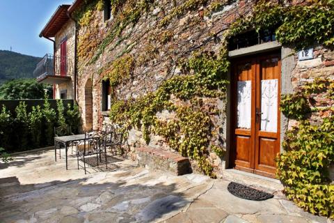 Schönen Olivenbäumen