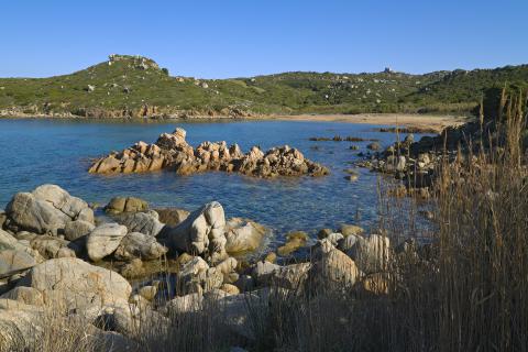 Resort Punta Falcone Santa Teresa Gallura, Tritt Case in Italia