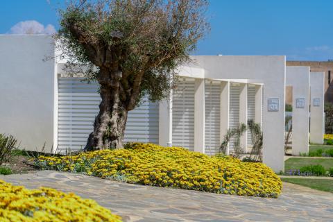 La Pelosa Residence. Tritt Case in Italia