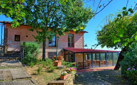 Tenuta Montelupo: Apartments zwischen den Weinreben | Tritt-toskana.de