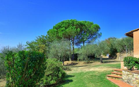 Tenuta Montelupo: Apartments zwischen den Weinreben | Tritt-toskana.de