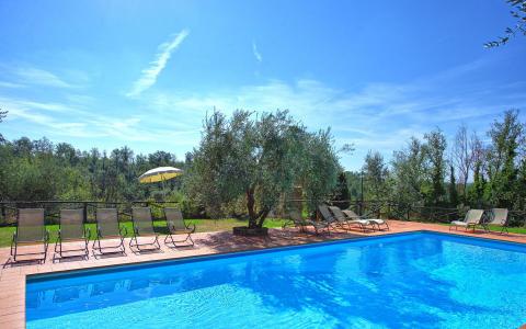 Tenuta Montelupo: Apartments zwischen den Weinreben | Tritt-toskana.de