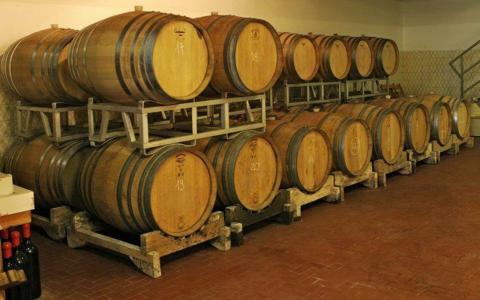 Tenuta Montelupo: Apartments zwischen den Weinreben | Tritt-toskana.de