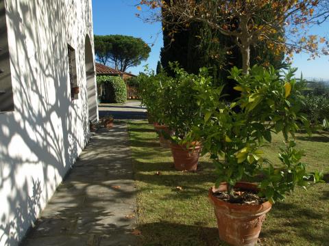 Tenuta Montelupo: Apartments zwischen den Weinreben | Tritt-toskana.de