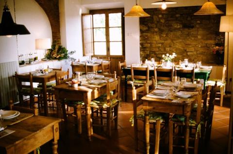 Tenuta Montelupo: Apartments zwischen den Weinreben | Tritt-toskana.de