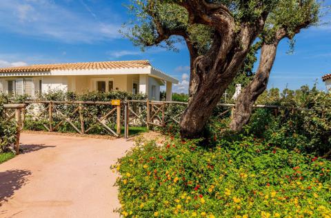 Ferienhäuser auf Sardininien, Ogliastra, Tritt Case in Italia