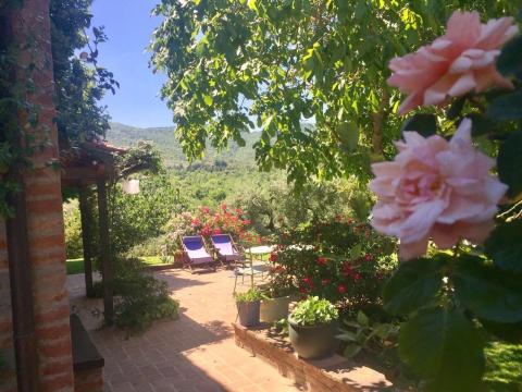 Ferienhaus mit Pool in Umbrien, Tritt Case in Italia