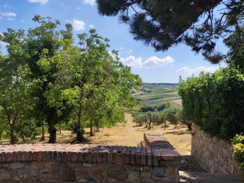 Agriturismo Santa Cristina, Florenz, Tritt Case in Italia