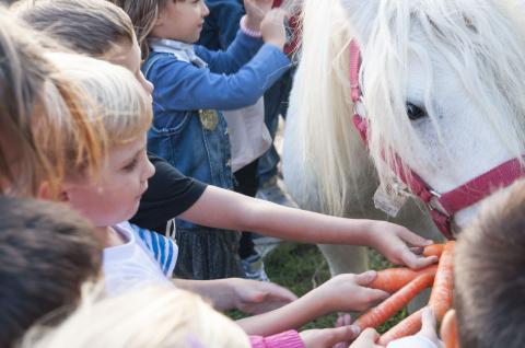 Ferienhaus Agriturismo Le Gorette | tritt-toskana.de