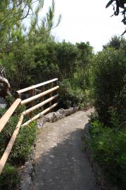 Ferienhaus Toskana am Meer