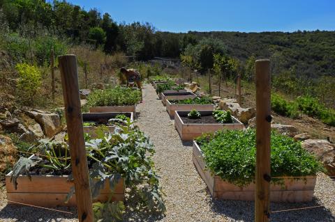 Wunderschöne 4 Sterne Luxus Villa Filippo | Tritt-toskana.de