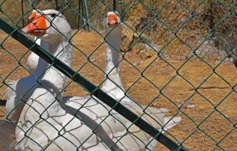 Wunderschöne 4 Sterne Luxus Villa Filippo | Tritt-toskana.de