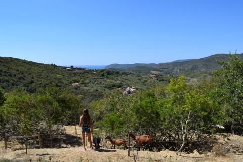 Wunderschöne 4 Sterne Luxus Villa Filippo | Tritt-toskana.de