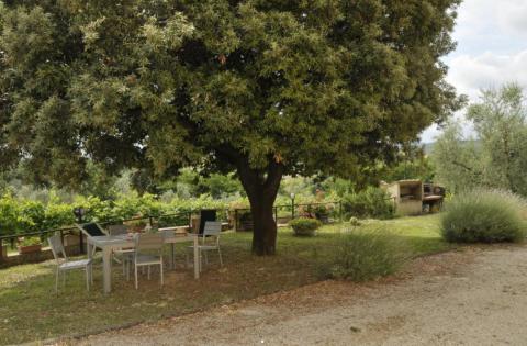 Ferienwohnungen Agriturismo Castelluccio | tritt-toskana.de