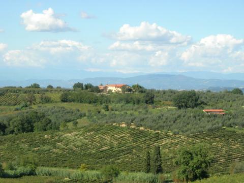 Ferienwohnungen Agriturismo Castelluccio | tritt-toskana.de