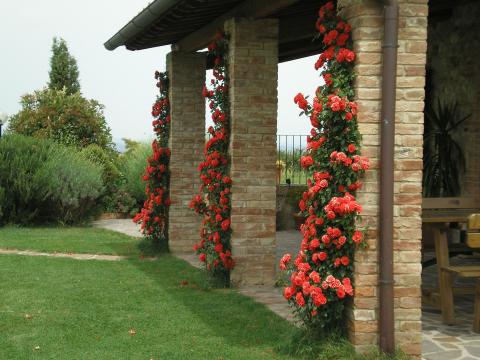 Toskana Ferienhaus Villa Il Fienile, Tritt-Toskana.de