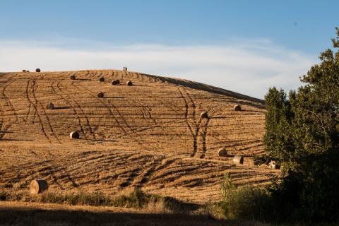 4 Ferienwohnungen im grünen Herzen der Toskana, Tritt-Case in Italia