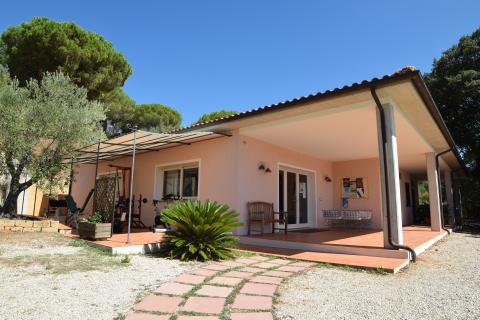 Familienurlaub im Kiefernwald auf Elba | Tritt-toskana.de