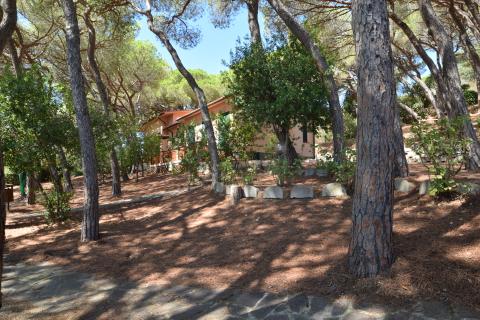 Familienurlaub im Kiefernwald auf Elba | Tritt-toskana.de