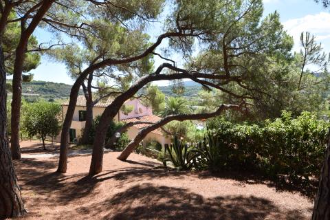 Familienurlaub im Kiefernwald auf Elba | Tritt-toskana.de