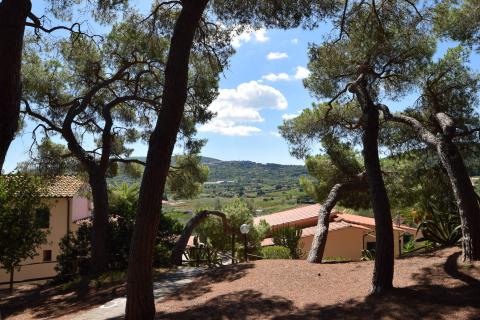 Familienurlaub im Kiefernwald auf Elba | Tritt-toskana.de