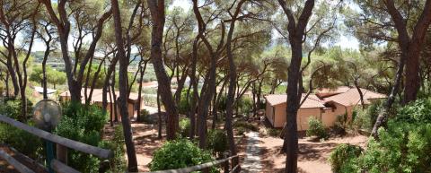 Familienurlaub im Kiefernwald auf Elba | Tritt-toskana.de