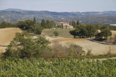 Ferinhaus mit Pool, Siena, Toskana, Italien