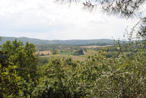 Luxuriöse Villa mit perfekter Ausstattung | Tritt-toskana.de