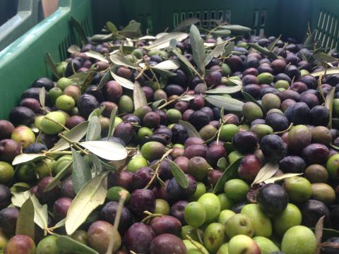 Einfach wohfühlen! Ferienhaus Lungarno in Arrezzo | tritt-toskana.de