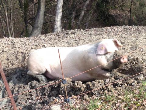 Einfach wohfühlen! Ferienhaus Lungarno in Arrezzo | tritt-toskana.de
