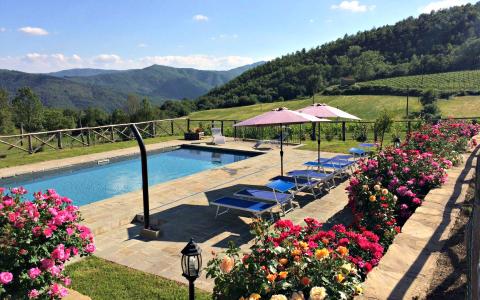 Ferienhaus mit Pool für 7 Personen, Cortona | Tritt-toskana.de