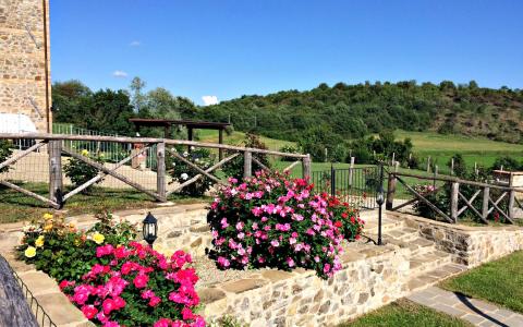 Ferienhaus mit Pool für 7 Personen, Cortona | Tritt-toskana.de